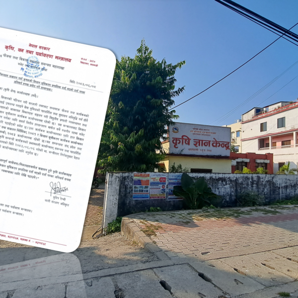 सरकारको निर्देशन पछि धेरै कृषक अनुदानबाट बन्चित हुन सक्नेः कृषि ज्ञान केन्द्र