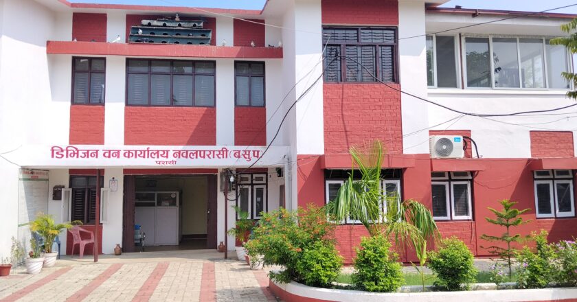 निजी क्षेत्रबाट काठ आपुर्ति घटदा राजस्वमा पनि कमी