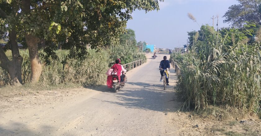 सांसद फेरिए तर फेरिएन झरही खोलाको होचो पुल